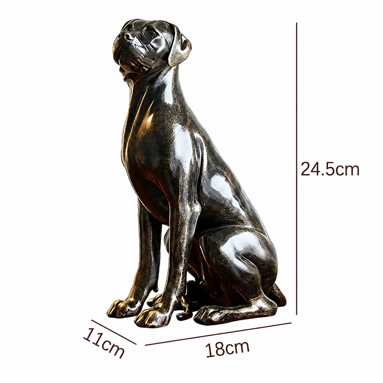 Dimensions d'origine du modèle Rune C : chien assis