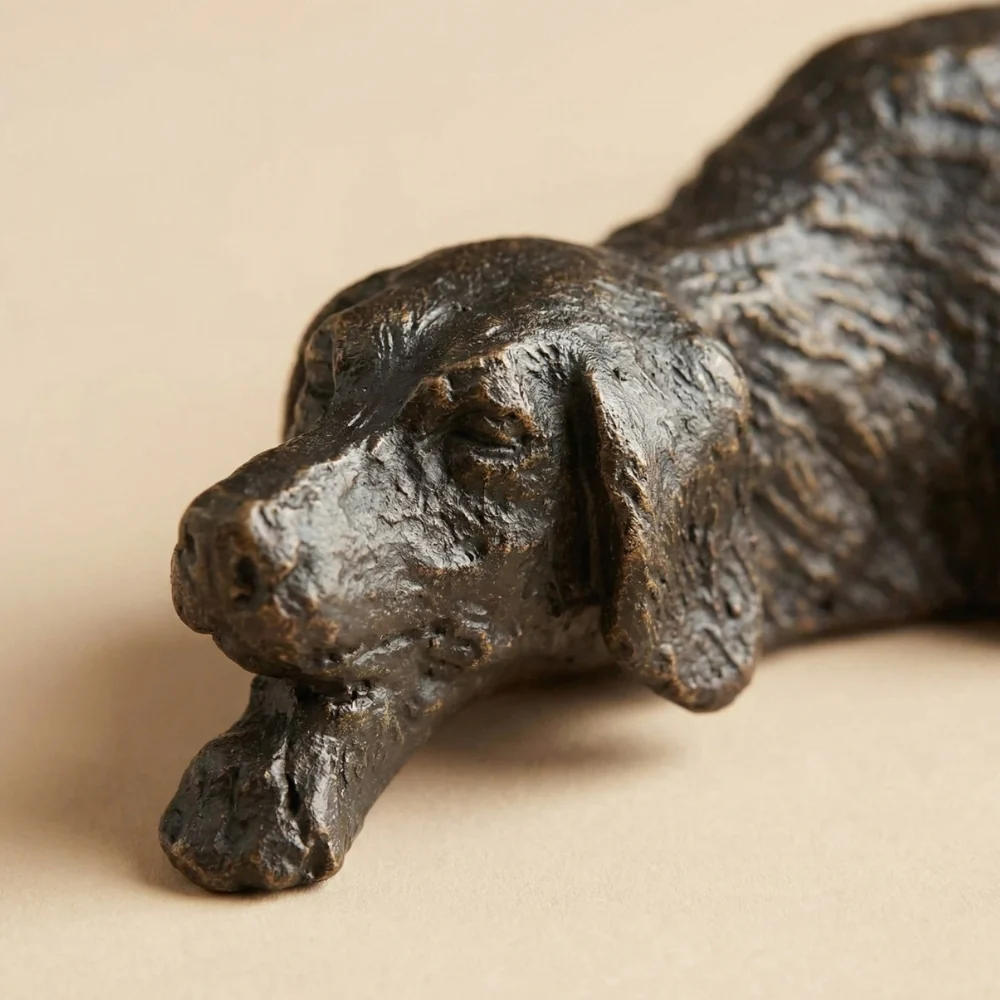 Gros plan sur la tête et la surface texturée du chien couché, modèle A