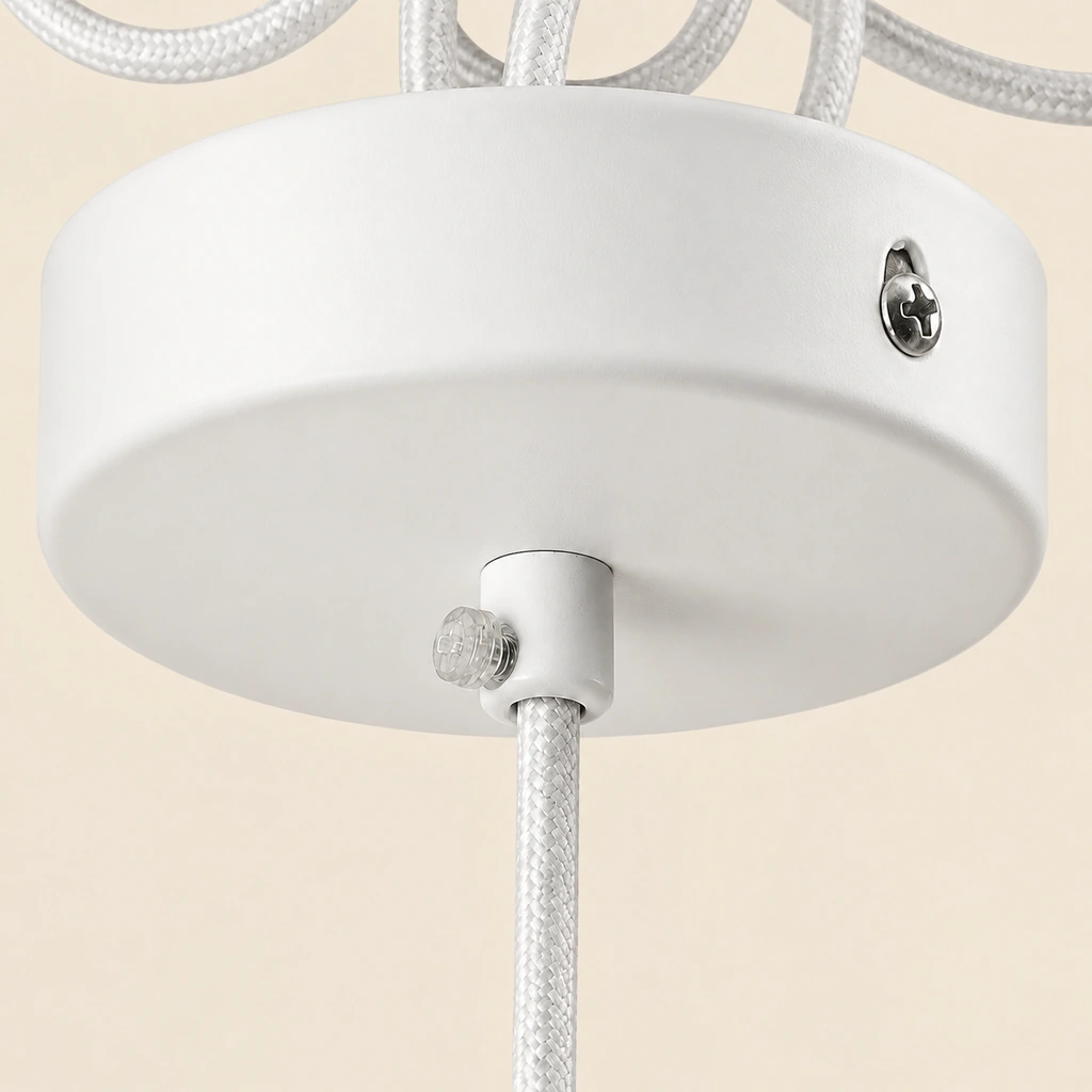 Ceiling canopy and continuous suspension cord